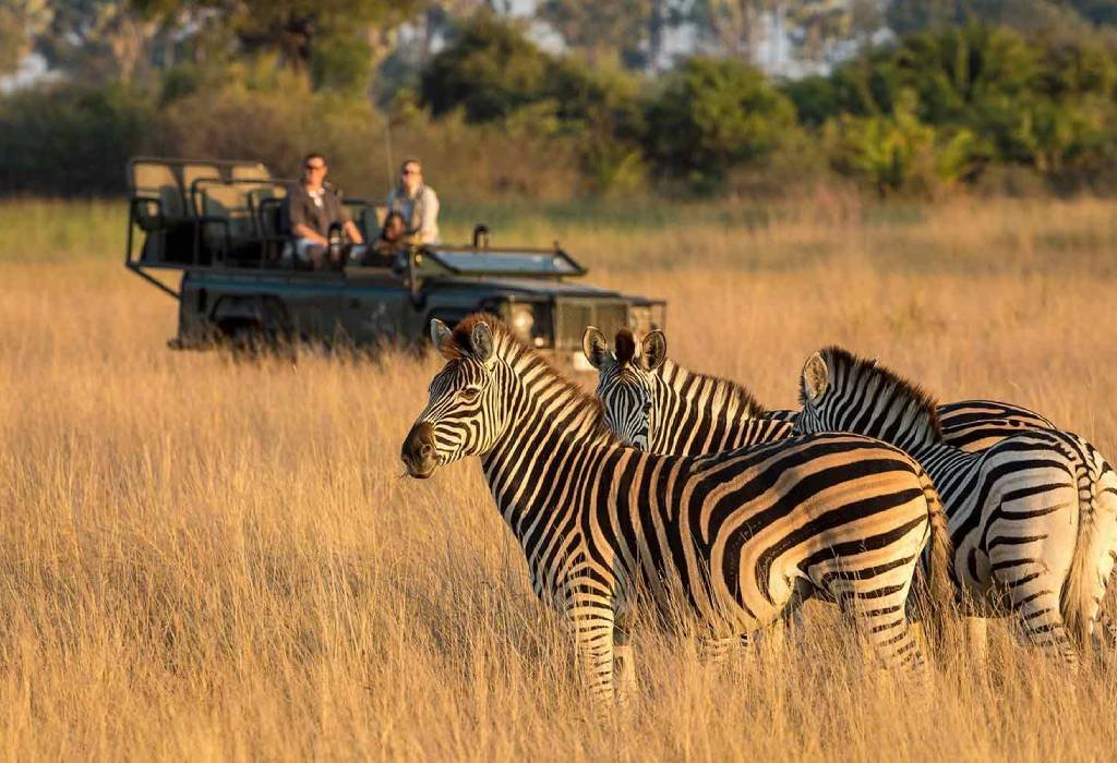 Journey to Africa