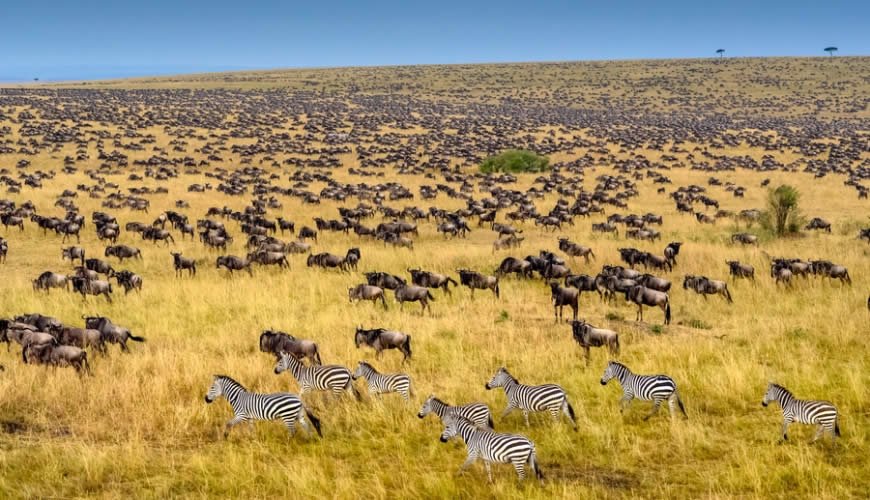 5-Day Kenya Big Five Safari: Maasai Mara & Beyond