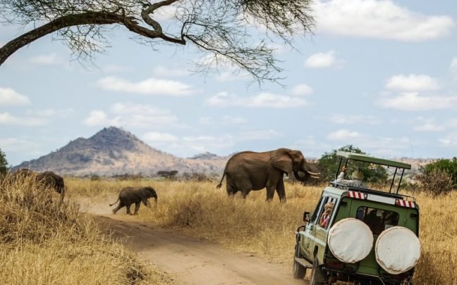 8-Day Explore Kenya's Big Five Wildlife Encounters